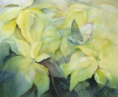 Poinsettia crema con farfalla da Karen Armitage