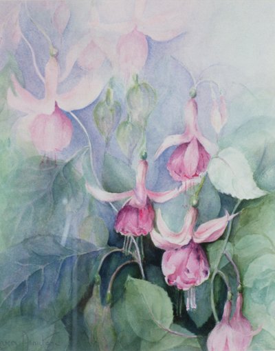 Fucsia, cocchiere rosa da Karen Armitage