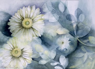 Gerbera Jameson II da Karen Armitage