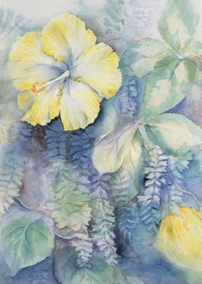 Ibisco, giallo da Karen Armitage