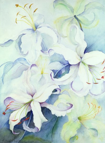 Lilium, Imperial Gold da Karen Armitage