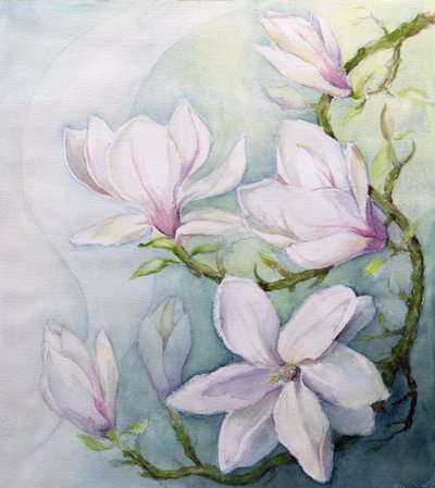 Magnolie da Karen Armitage