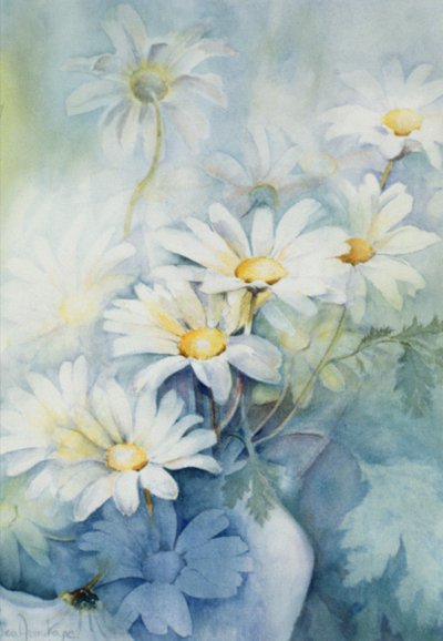 Margherite, Alessandria da Karen Armitage