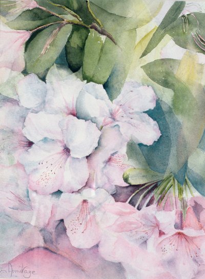 Magia del mattino da Karen Armitage