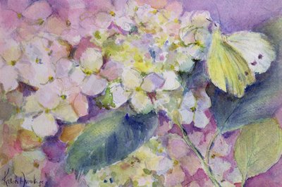 Farfalla gialla pallida, Colias Hyale su ortensia da Karen Armitage