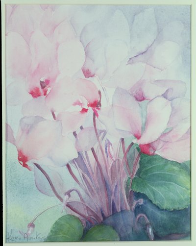 Ciclamino rosa, Victoria da Karen Armitage