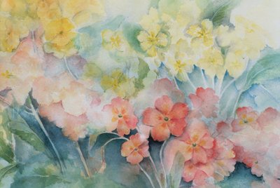 Polyanthus, ibridi misti da Karen Armitage