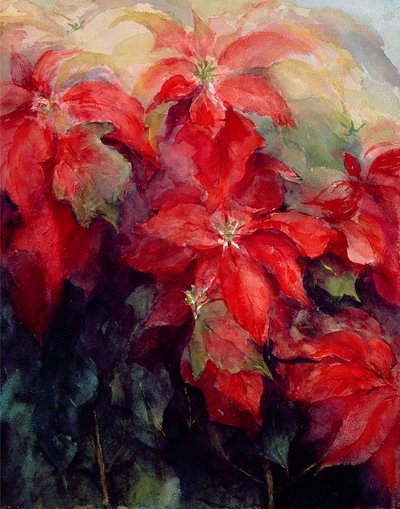 Stelle di Natale Rosse da Karen Armitage