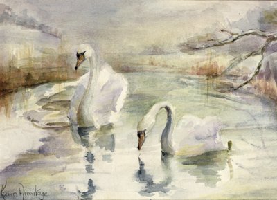 Cigni in inverno da Karen Armitage