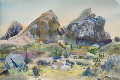 Rocce del deserto sud-occidentale da Karin Bos