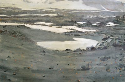 Paesaggio della tundra desolata da Karin Bos