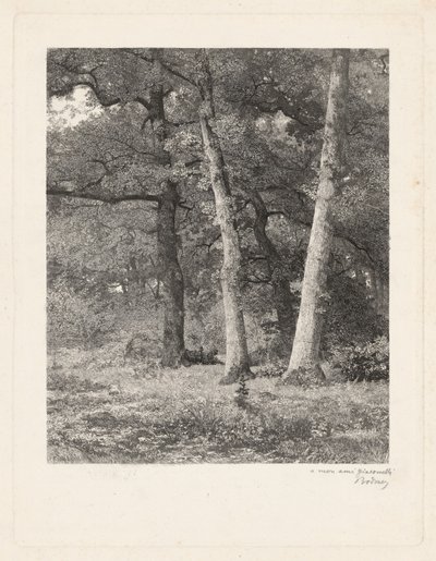 Una Radura nella Foresta da Karl Bodmer