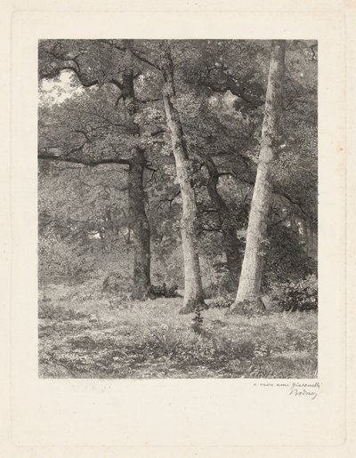  da Karl Bodmer