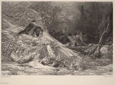  da Karl Bodmer