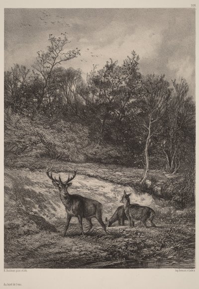  da Karl Bodmer