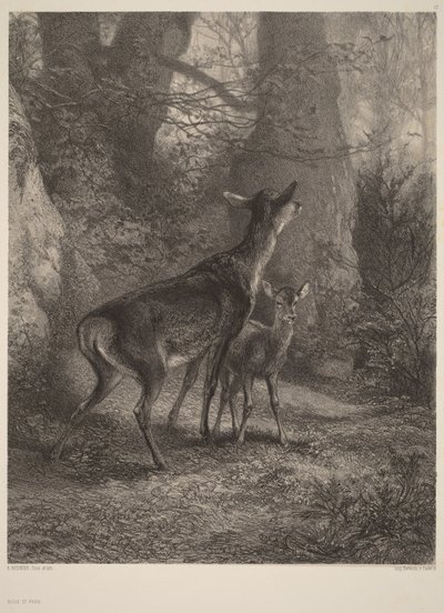  da Karl Bodmer