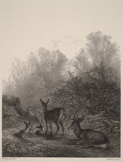  da Karl Bodmer