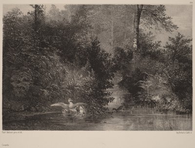  da Karl Bodmer