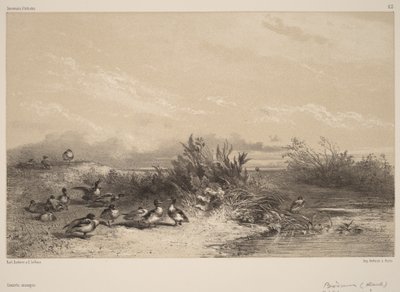  da Karl Bodmer
