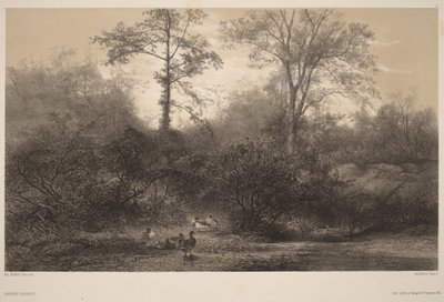  da Karl Bodmer
