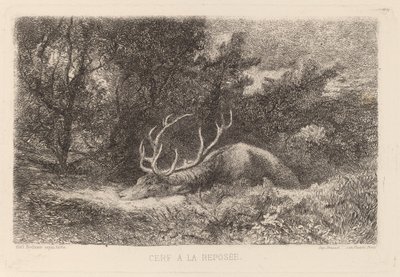 Cervo a Riposo da Karl Bodmer