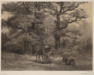  da Karl Bodmer