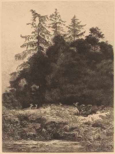 Daini in un parco da Karl Bodmer