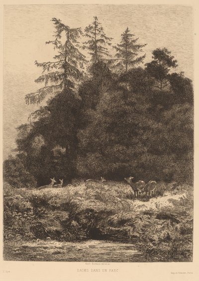 Daini in un parco da Karl Bodmer