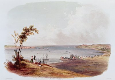 Ingresso alla Baia di New York, Staten Island, inciso da Salathe (litografia a colori) da Karl Bodmer