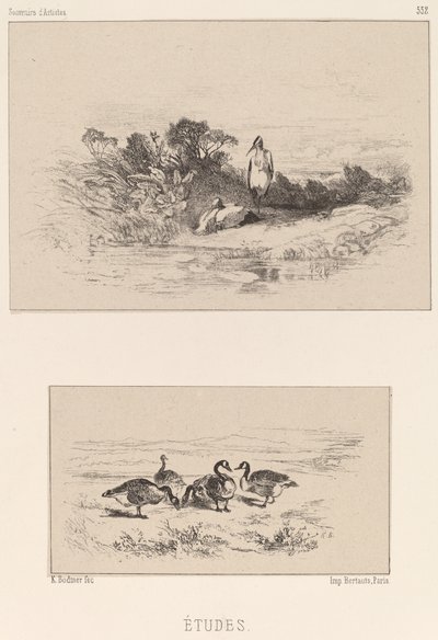 Studi da Karl Bodmer