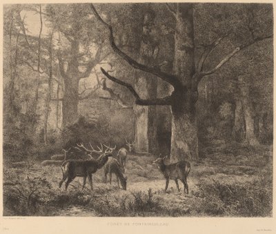 Foresta di Fontainebleau da Karl Bodmer