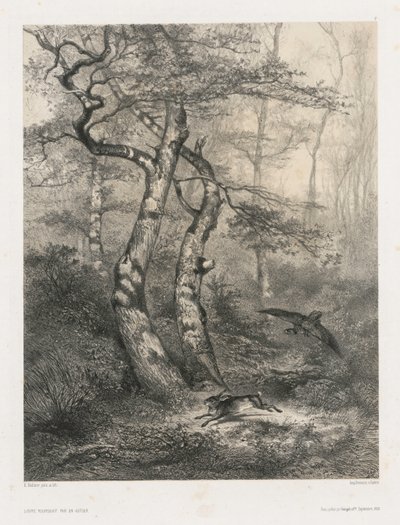 Lepre inseguita da un astore da Karl Bodmer