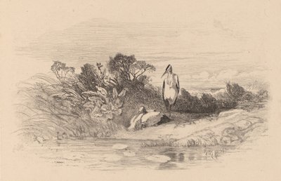 Aironi da Karl Bodmer