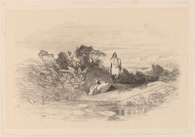 Aironi da Karl Bodmer