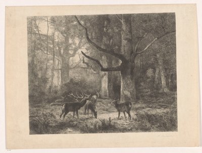 Cervi in un bosco da Karl Bodmer