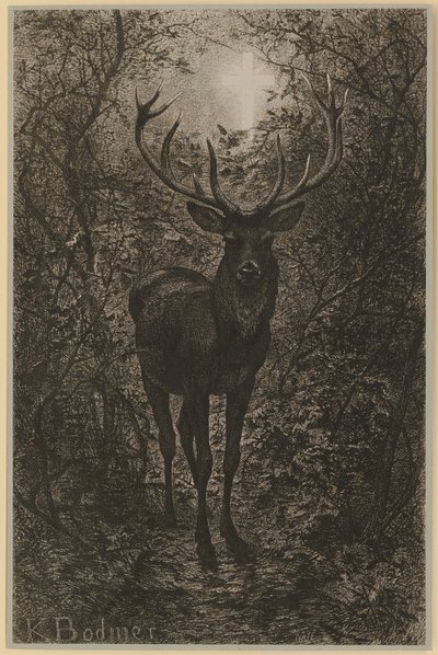  da Karl Bodmer