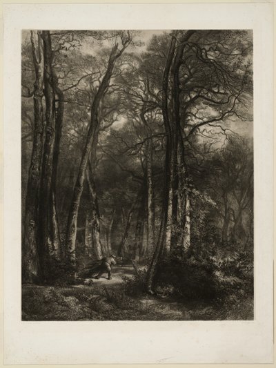 Nella foresta da Karl Bodmer