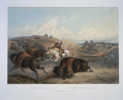 Indiani che cacciano il bisonte da Karl Bodmer