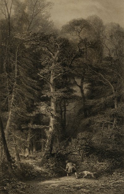 Interno della foresta da Karl Bodmer