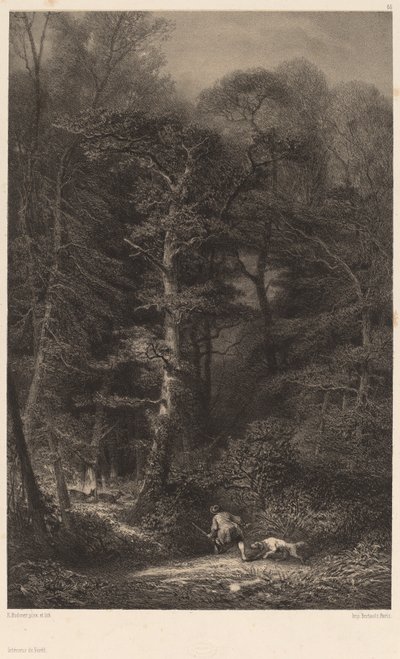 Interno della foresta da Karl Bodmer