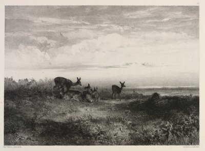 Paesaggio con cervi da Karl Bodmer