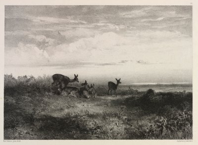 Paesaggio con cervi, c. 1840 da Karl Bodmer