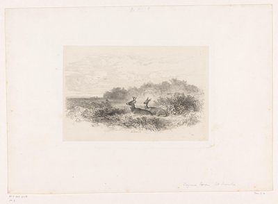 Paesaggio con due cervi dalla coda bianca (serie: Paesaggi con animali) da Karl Bodmer