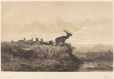 Il mattino da Karl Bodmer