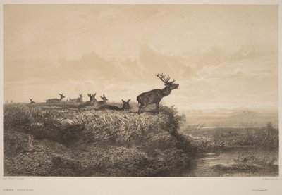 Il mattino da Karl Bodmer