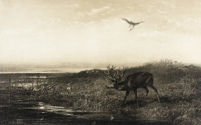  da Karl Bodmer