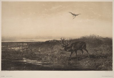  da Karl Bodmer