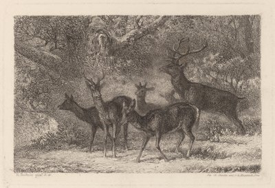 Le harde da Karl Bodmer