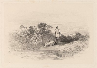 I due aironi da Karl Bodmer