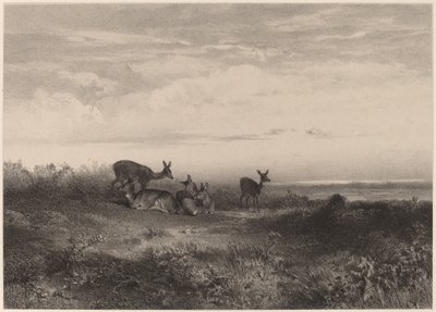 Les biches da Karl Bodmer